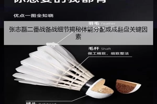 张志磊二番战备战细节揭秘体能分配或成翻盘关键因素